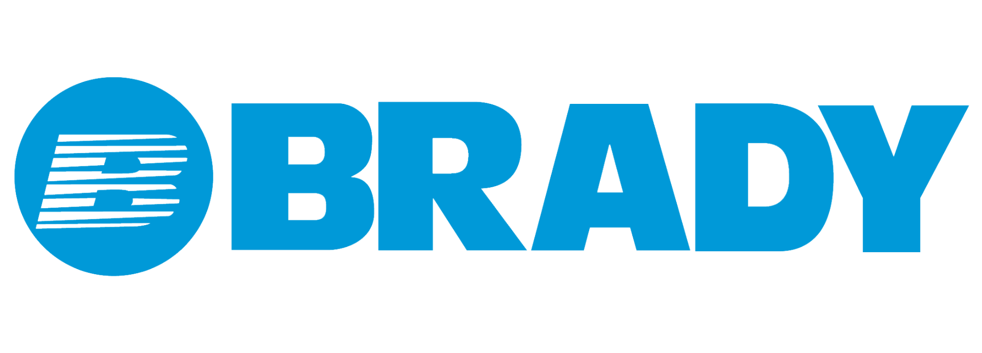Brady Services Logo