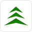 Regent Bank Logo