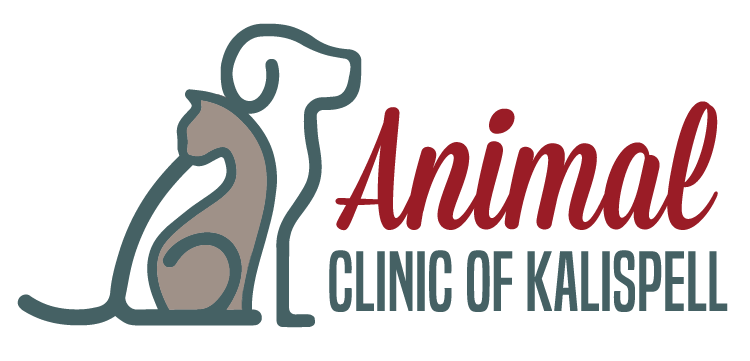 Animal Clinic of Kalispell Logo