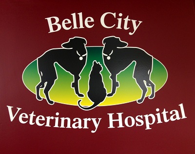 Belle City Veterinary Hospital Logo