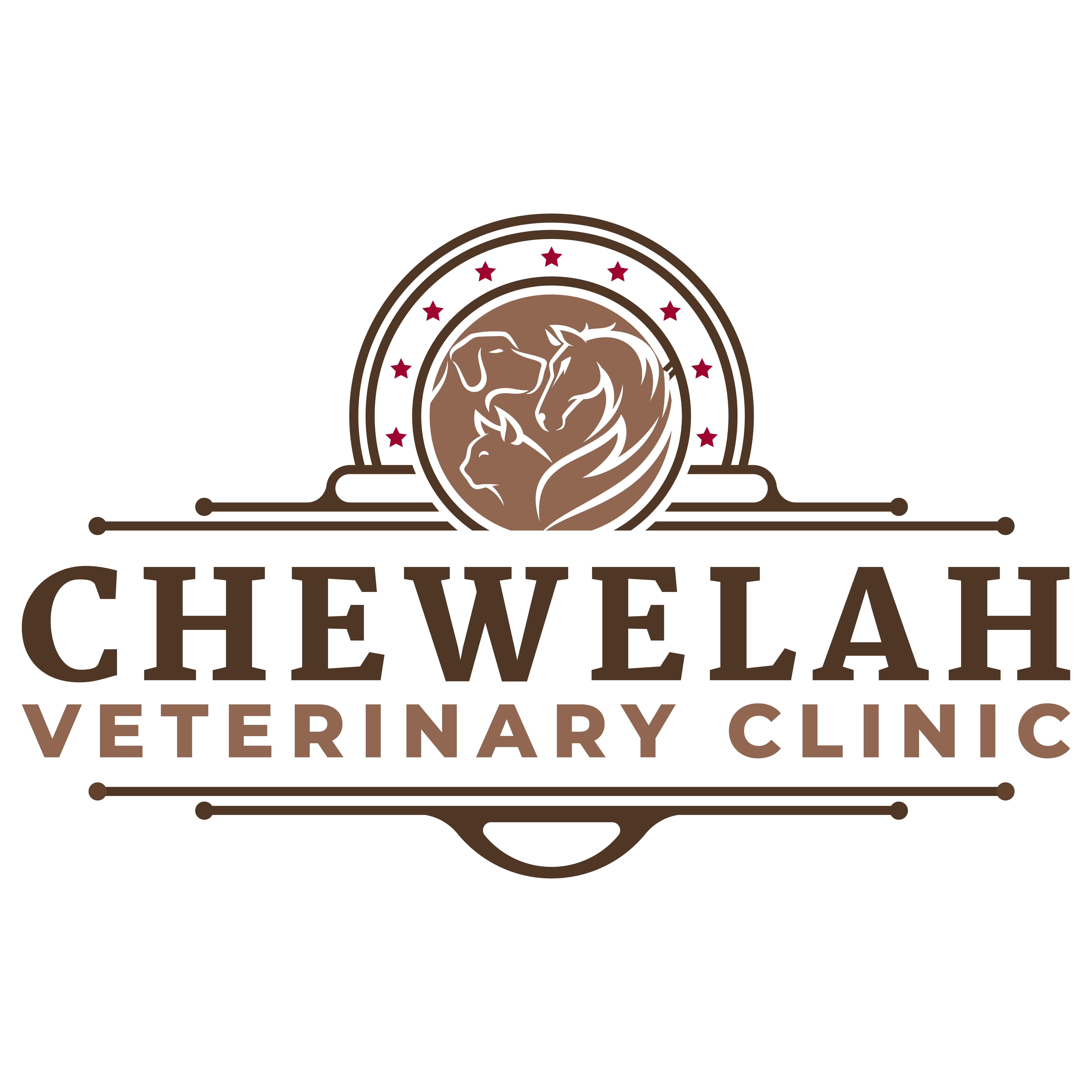 Chewelah Veterinary Clinic Logo