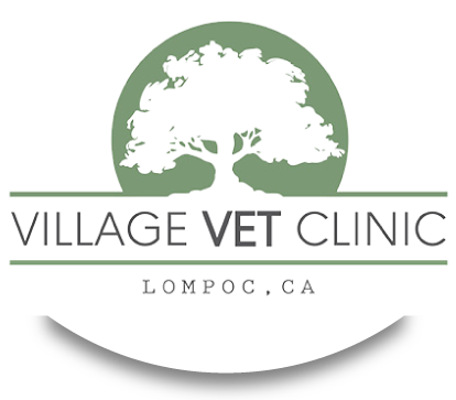 Village Veterinary Clinic Logo