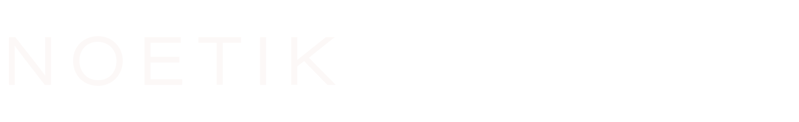 Noetik Logo