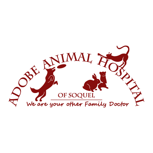 Adobe Animal Hospital of Soquel Logo