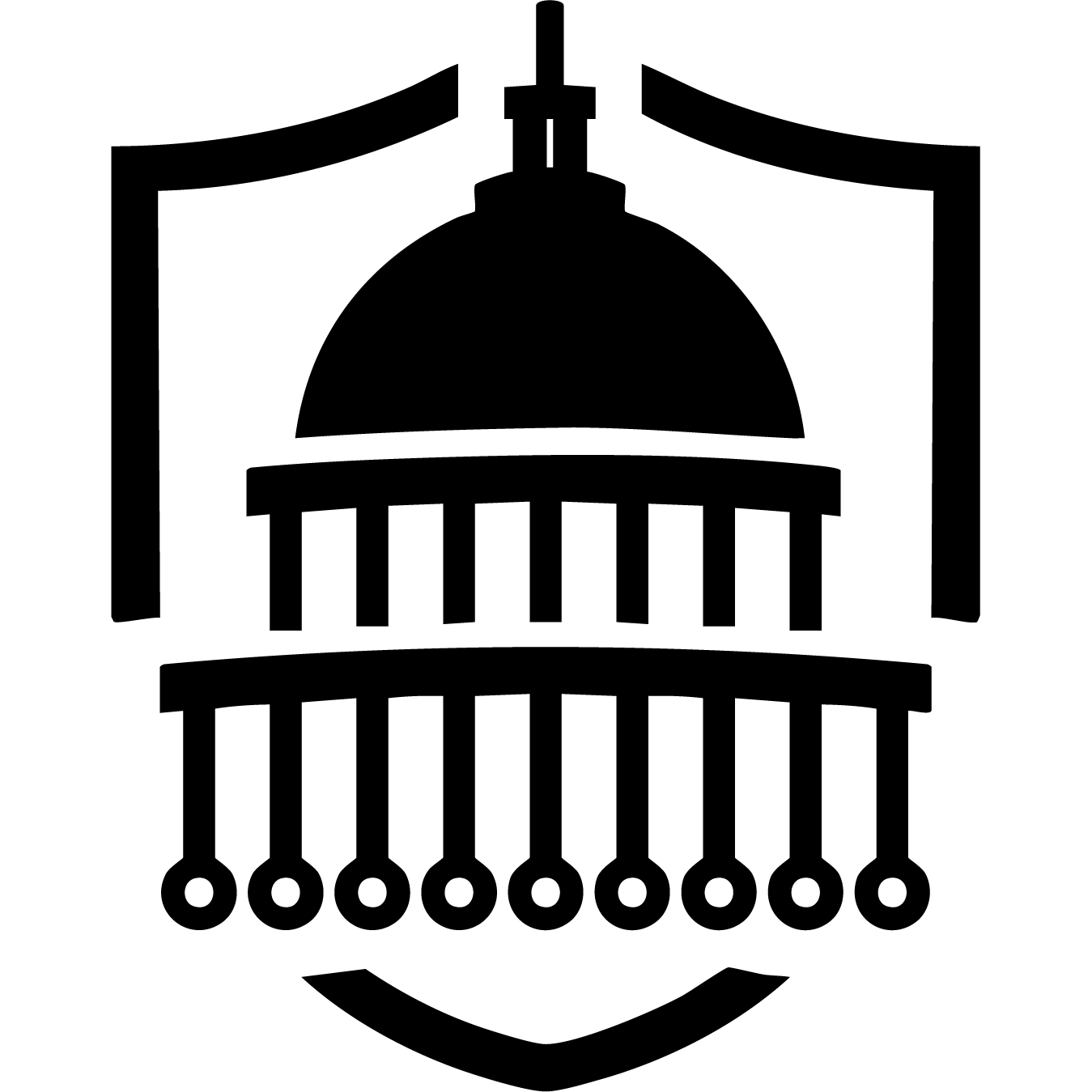The AI Policy Network Logo