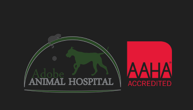 Adobe Animal Hospital - Petaluma Logo